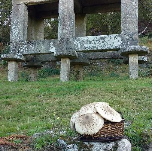 Casa D'agosto Σπίτι διακοπών