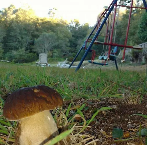 Casa D'agosto Σπίτι διακοπών *